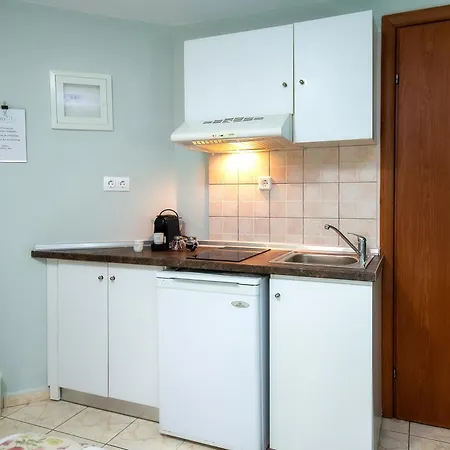 Famelia Lampiris Potos