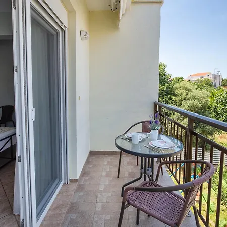 Famelia Lampiris * Potos