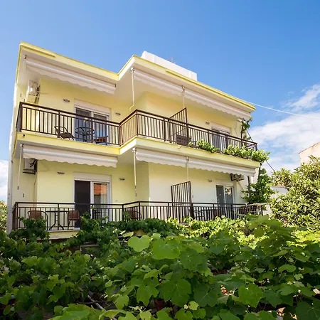 Famelia Lampiris * Potos