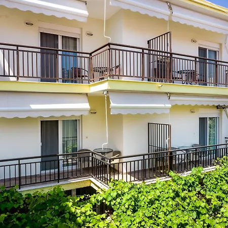 Famelia Lampiris * פוטוס